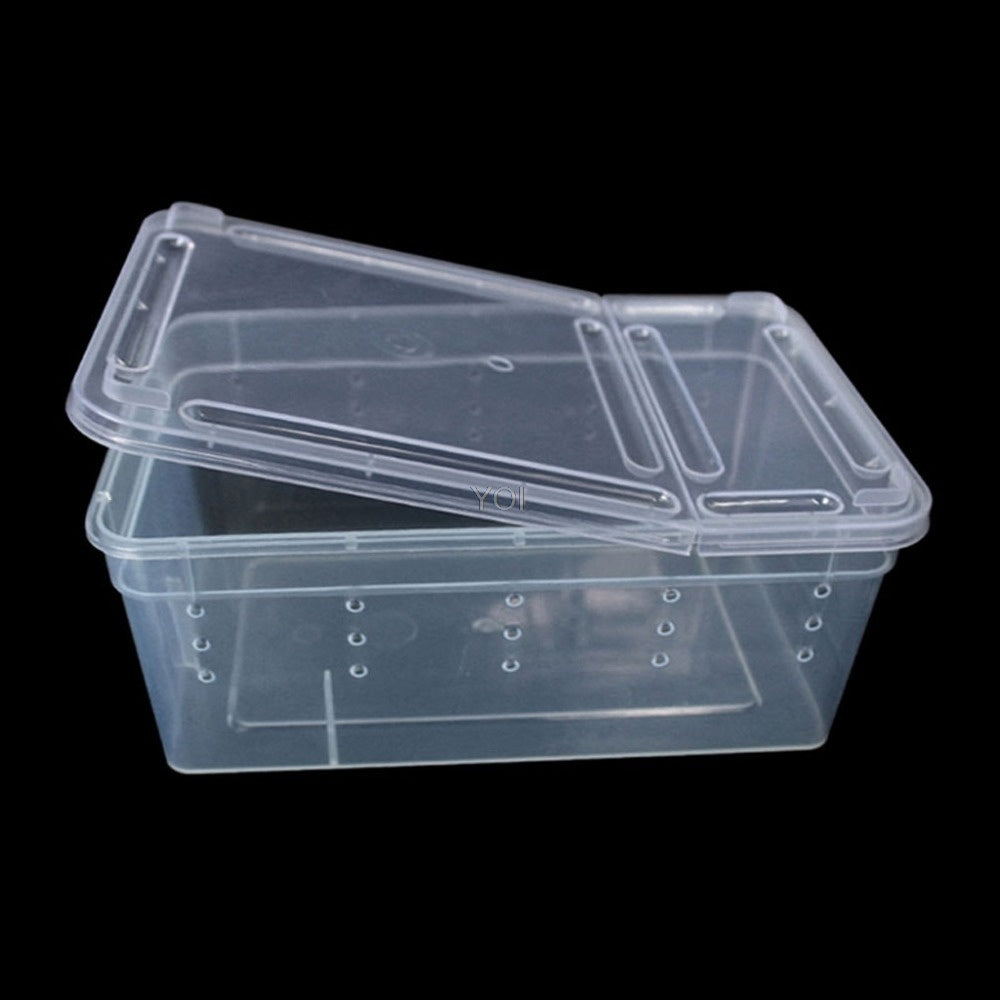 Plastic transparent reptile feeding box