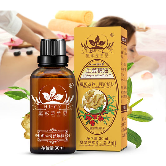 HJFCY - Ginger Body Back Moisturizing Massage Essential Oil