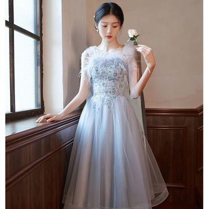 Blue Evening Dress Birthday Princess